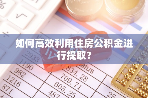 银州如何高效利用住房公积金进行提取？