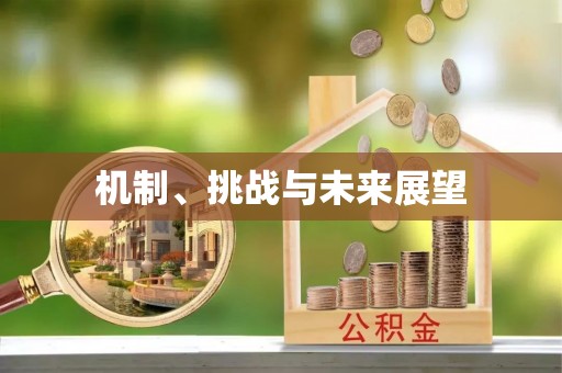 银州机制、挑战与未来展望
