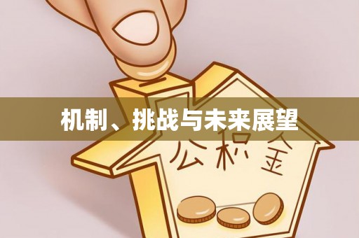银州机制、挑战与未来展望
