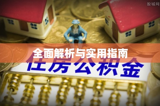 银州全面解析与实用指南